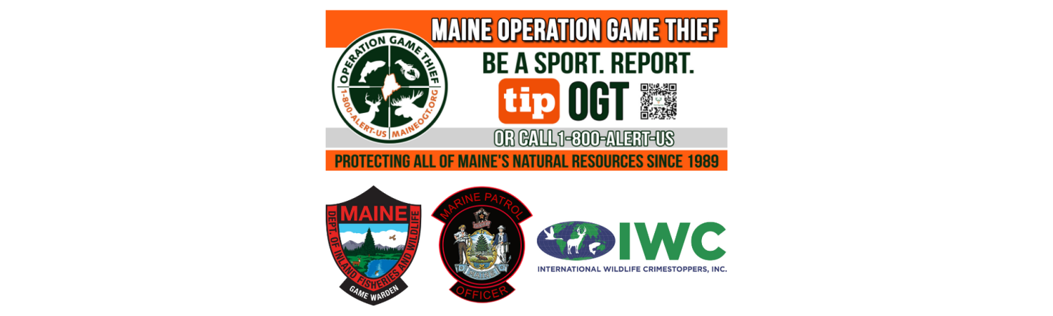 Maine Operation Game Thief